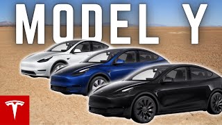 Model Y Standard vs Long Range vs Performance [upl. by Tolmach]