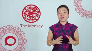 The Monkey  2017 Chinese Zodiac Predictions With Jessie Lee  The Coverage [upl. by Warford389]