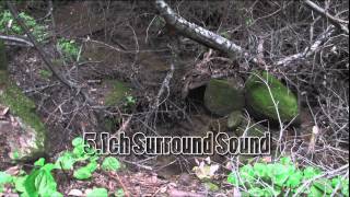 Canon SMV1 51ch Surround Sound Microphone Test [upl. by Laflam639]