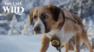 The Call of the Wild  New Lead Dog Clip [upl. by Indira]