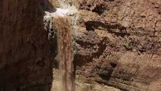 שיטפון בצאלים בירכת צפירה  Flash Flood in the Judean Desert [upl. by Winstonn]