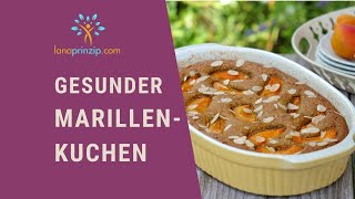 Gesunder und einfacher Marillenkuchen Aprikosenkuchen  Rezept mit Hafer  gesund backen [upl. by Notgnilra133]