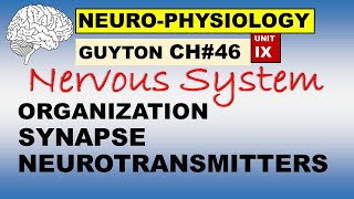 Ch46 Physiology Guyton  Neurophysiology  Organization  Synapses  Neurotransmitters [upl. by Eillit113]