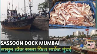 Sassoon Dock l Sassoon Dock Mumbai l Colaba Sassoon Dock l Sassoon Dock Fish Market l सासून डॉक [upl. by Orian]