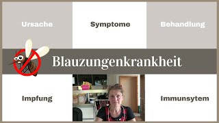 Blauzungenkrankheit  Ursache  Symptome  Behandlung  Impfung  Immunsystem  Fallbeispiel Schafe [upl. by Yhtamit]