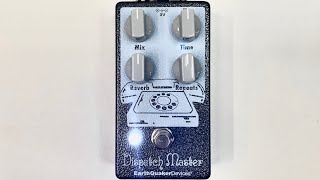 Dispatch Master by EarthQuaker All the Reverb and Delay you need in one Box [upl. by Hallette]