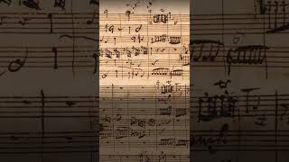 C P E Bach concerto Wq 23 manuscript [upl. by Forsta]