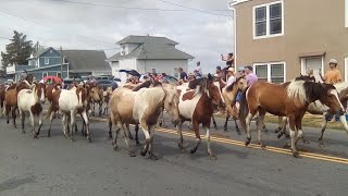 Chincoteague Island Pony Swim and Parade 🐎 [upl. by Aihpledalihp]