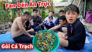 Hậu Cáo  Fan Đến Tận Nhà Đòi Ăn Trực Món Trạch Đồng Rán Cực Ngon [upl. by Ashia]