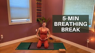 5 min breathing break [upl. by Lemmuela]