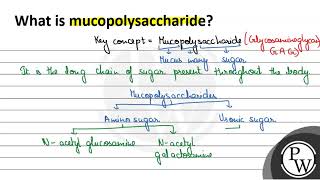 What is mucopolysaccharide W [upl. by Anirbys]