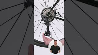 Whats the difference between the pulleys on your derailleur [upl. by Bashee547]