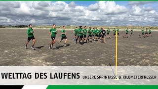 Zum Welttag des Laufens  Unsere Sprintasse amp Kilometerfresser [upl. by Annaes588]