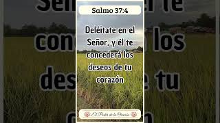 Mensaje Bíblico de hoy Salmo 374 Fe VersiculoDeLaBiblia TextosBiblicos EstudioBiblico [upl. by Idona301]