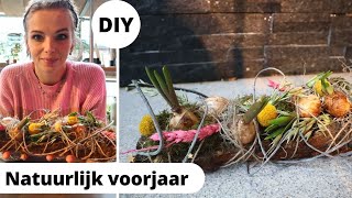 Natuurlijk VOORJAARSSTUKJE 🌷 Cursus bloemschikken 51 Carlein Tukkers [upl. by Aniarrol511]