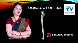 Osteology of Ulna by Dr Rajitha Vanga [upl. by Yvel967]