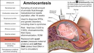 Prenatal screening fetal testing and other tests during pregnancy [upl. by Nyasuh]