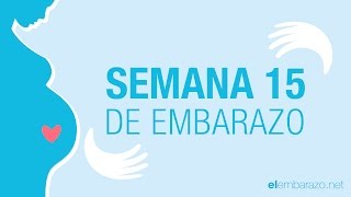 Semana 15 de embarazo  15 semanas de embarazo  El embarazo semana a semana [upl. by Hanley]