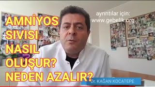 Bebeğin amniyon suyu nasıl oluşurSu tüketimi ile ilgili midirAz veya fazla olması ne anlam taşır [upl. by Trinl]