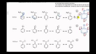 52 Chimie organique  Substitution électrophile aromatique 2  Réactivité et régiosélectivité [upl. by Teague582]