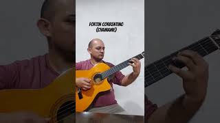 Fortín Correntino  Chamamé guitarrista chamametradicional chamameautentico [upl. by Ijat453]