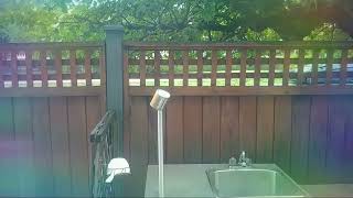 Vancouver Live Security Camera [upl. by Gorton]