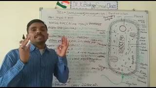 Structure Of Prokaryotic Cell Ultrastructure Of Bacteria Hindi [upl. by Balcer]