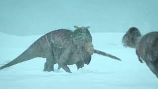 Prehistoric Planet Nanuqsaurus gang hunt Pachyrhinosaurus during a blizzard  Apple TV [upl. by Suiram]