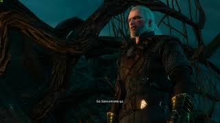 The Witcher 3  Imlerith Boss Fight  Level 100Deathmarchenemy upscaling [upl. by Anne-Marie]