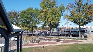 Acela Express 2250 The Dinky amp NJ Transit 7828 at Princeton Junction [upl. by Andriana217]