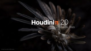 Houdini 20 Sneak Peek [upl. by Ahsikin]