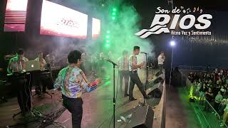 ORQUESTA SON DE RIOS EN VIVO [upl. by Ilzel667]