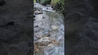 Stoddard Canyon Falls amp Slide in Los Angeles County California hikingusa [upl. by Kistner]