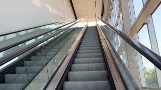 Schindler Escalators at AMC Roosevelt Field 8 in Garden City NY [upl. by Metzgar]