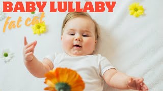 Sleepy Fish Dream Peaceful Sleep Music for Babies  2 Hour of Calming Lullabies [upl. by Isleana166]