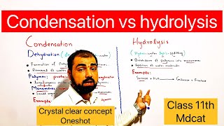 Condensation and hydrolysis one shot  Class 11 biology  mdcat  in Urdu and Hindi medium [upl. by Loggins358]