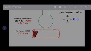 Alveolar Ventilation  Perfusion ratio [upl. by Ahcila]