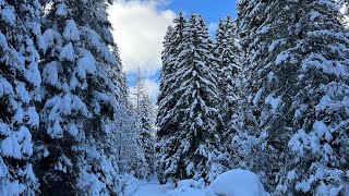 Dolomites Val di Fassa Canazei Campitello Ski alp in val Monzoni and Val Duron [upl. by Aidiruy]