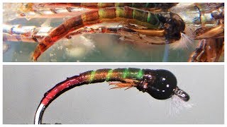 TSP  Tony Stark Pupa Chironomid Fly [upl. by Neila902]