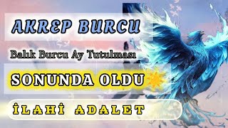 AKREP BURCU GELİYOR GELMEKTE OLAN 👑 [upl. by Hurd]