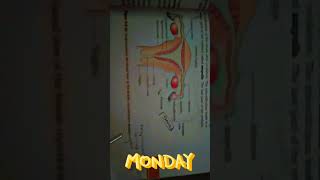 Diagrammatic sectional view of the female reproductive system5 marks for diagram 2nd puc students [upl. by Irrab]