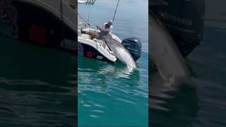 Guys are pulling a monster Bluefin Tuna into their boat [upl. by Erving825]