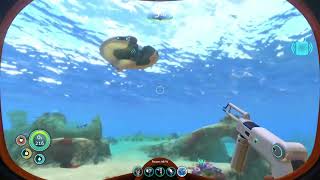 Subnautica get rubies easy Sparse Reef  Subnautica Guide 2022 [upl. by Franckot]