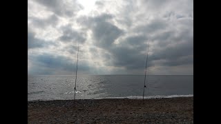 SURFCASTING EN GUADALMINA BAJA  CARABELA PORTUGUESA [upl. by Enneirb]