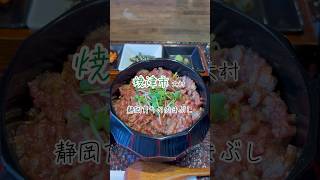 【焼津グルメ】静岡そだちのもも肉がのった肉まぶしが絶品だった！ [upl. by Lucien28]