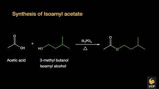 Synthesis of isoamyl acetate overview and QampA [upl. by Ahsier]