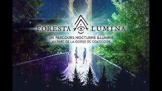 FORESTA LUMINA  HD [upl. by Lajes868]