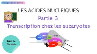 La réplication chez les eucaryotes génétique replication eucaryote [upl. by Carena]