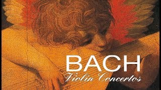 JS Bach The Violin Concertos [upl. by Aihsiym605]