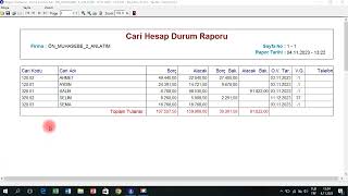 zirve finansman cari raporlar [upl. by Nylzzaj]